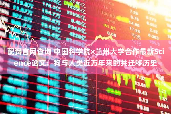 配资官网查询 中国科学院×兰州大学合作最新Science论文：狗与人类近万年来的共迁移历史