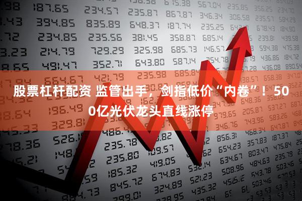 股票杠杆配资 监管出手，剑指低价“内卷”！500亿光伏龙头直线涨停