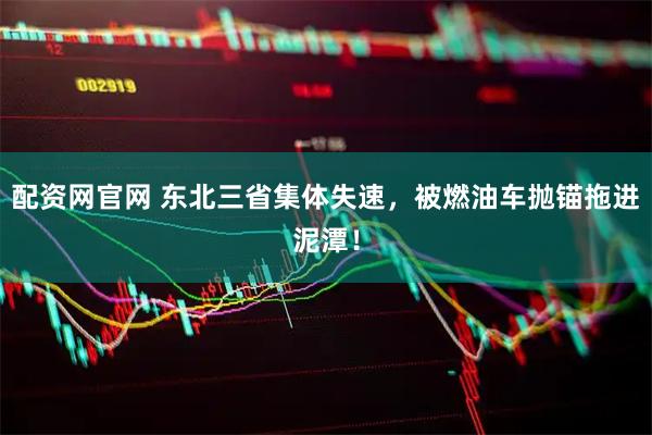 配资网官网 东北三省集体失速，被燃油车抛锚拖进泥潭！